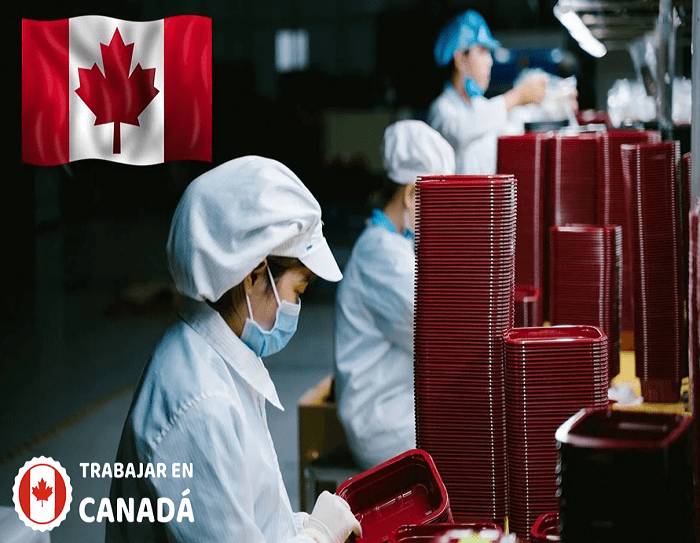 Trabajos como auxiliar de procesamiento de alimentos en Canadá